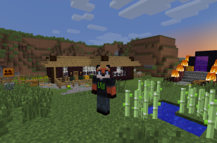 Screenshot of Minecraft showing the player, who has a skin of Xenia, the Linux foxgirl and is looking at the viewer, is standing behind their house that is made out of nether Bricks and wood.

There is a scarecrow made out of bricks and fences, there is also a small animal farm, and a nether portal.